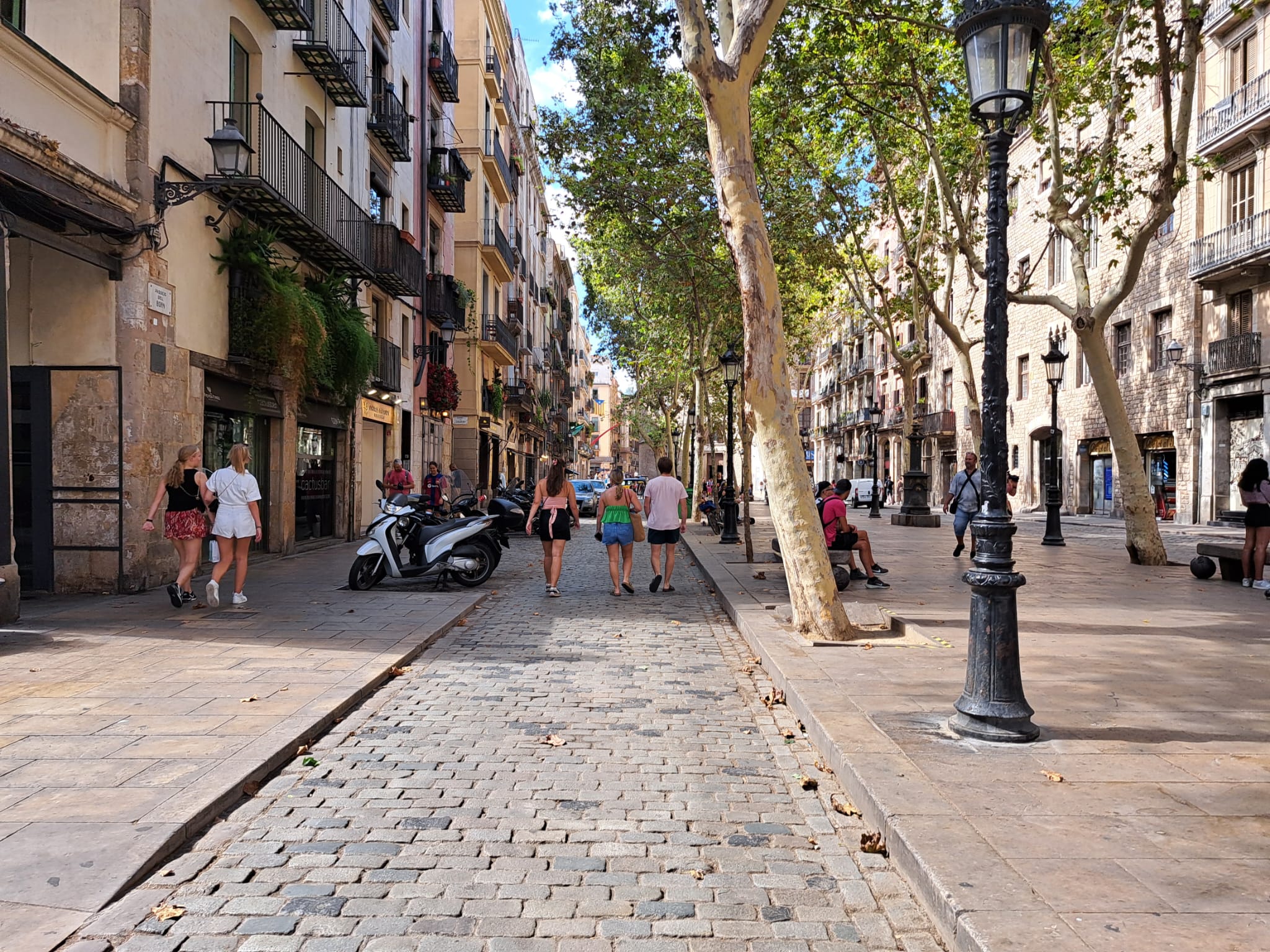 00000263-PHOTO-2023-08-16-03-01-23