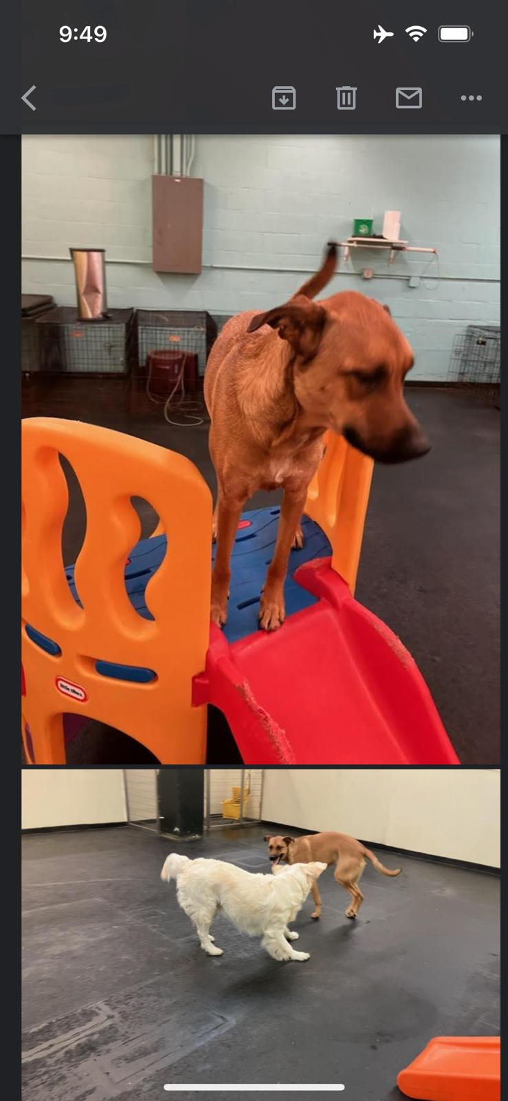 00000324-PHOTO-2023-08-17-03-50-02