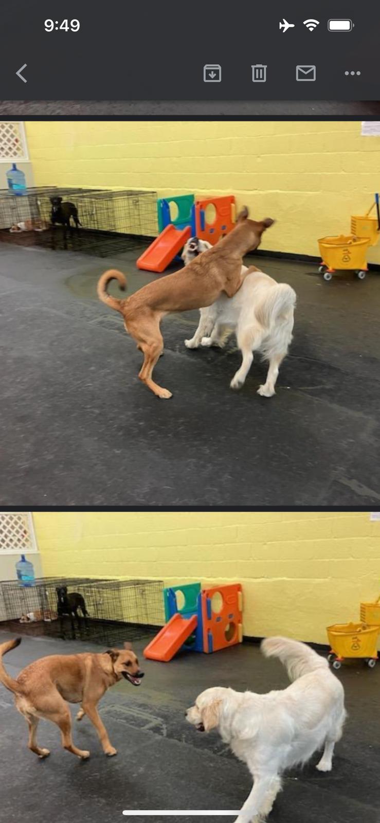 00000326-PHOTO-2023-08-17-03-50-13