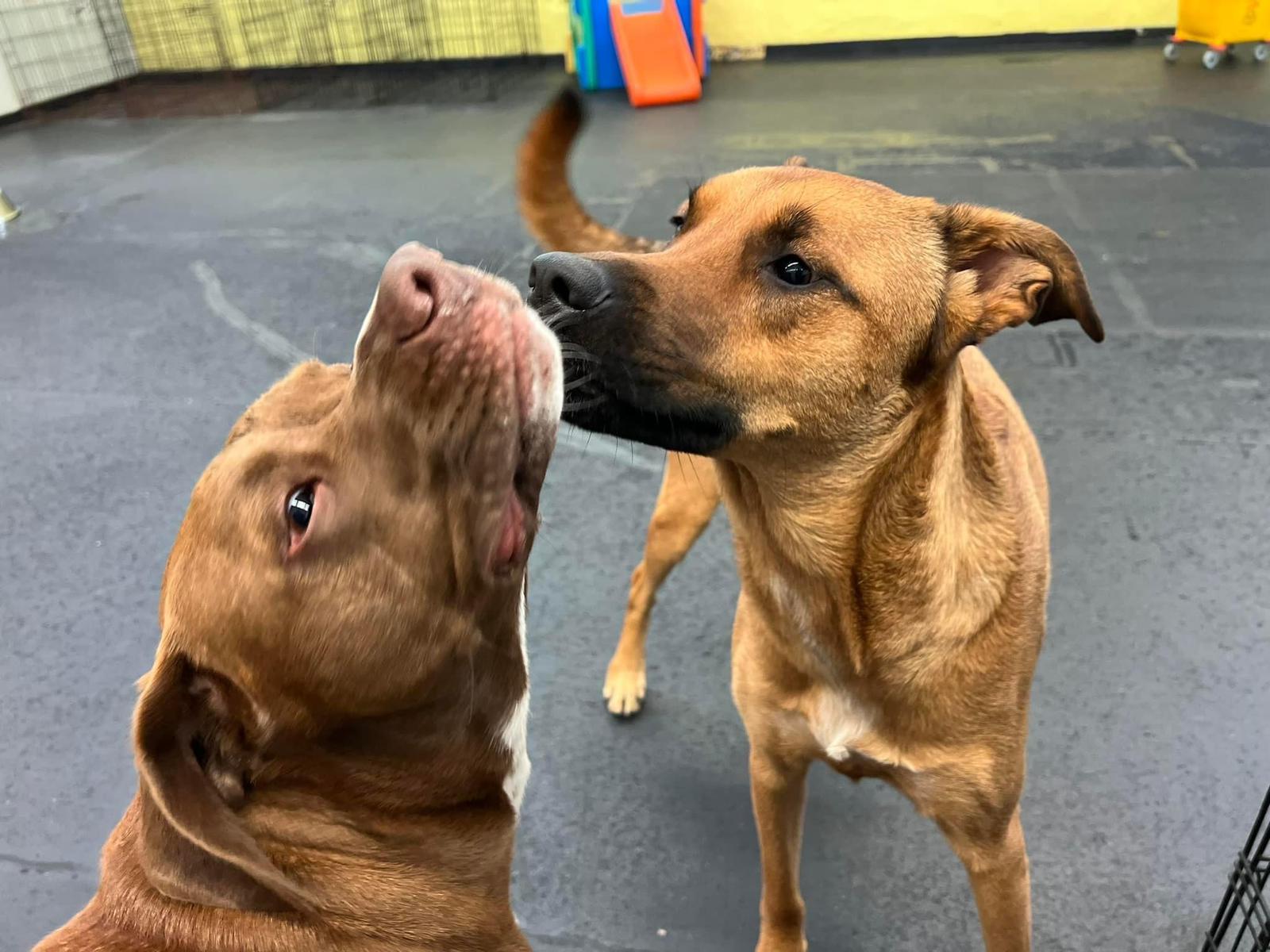 00000338-PHOTO-2023-08-17-07-22-16