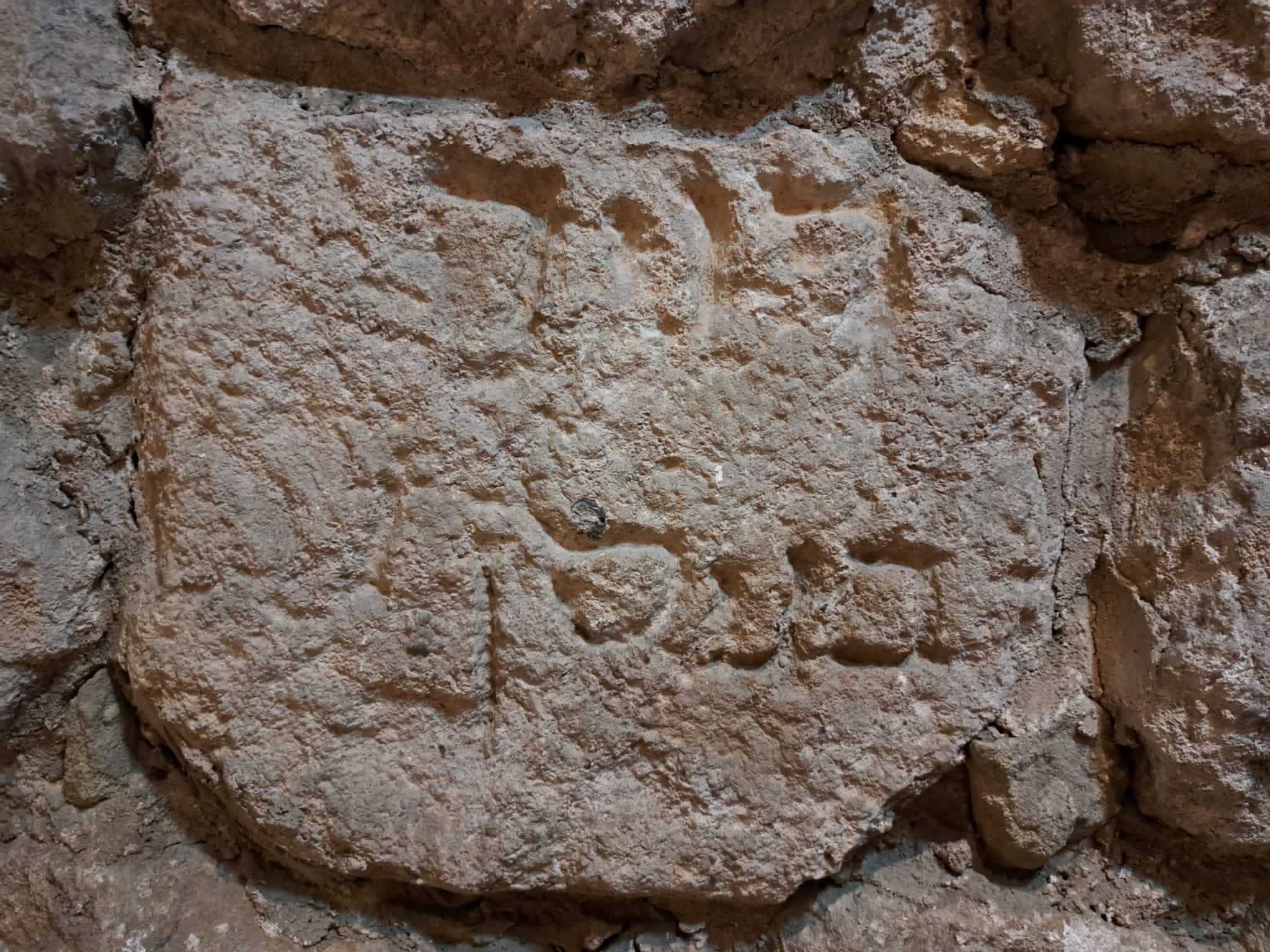 00000389-PHOTO-2023-08-18-04-02-40