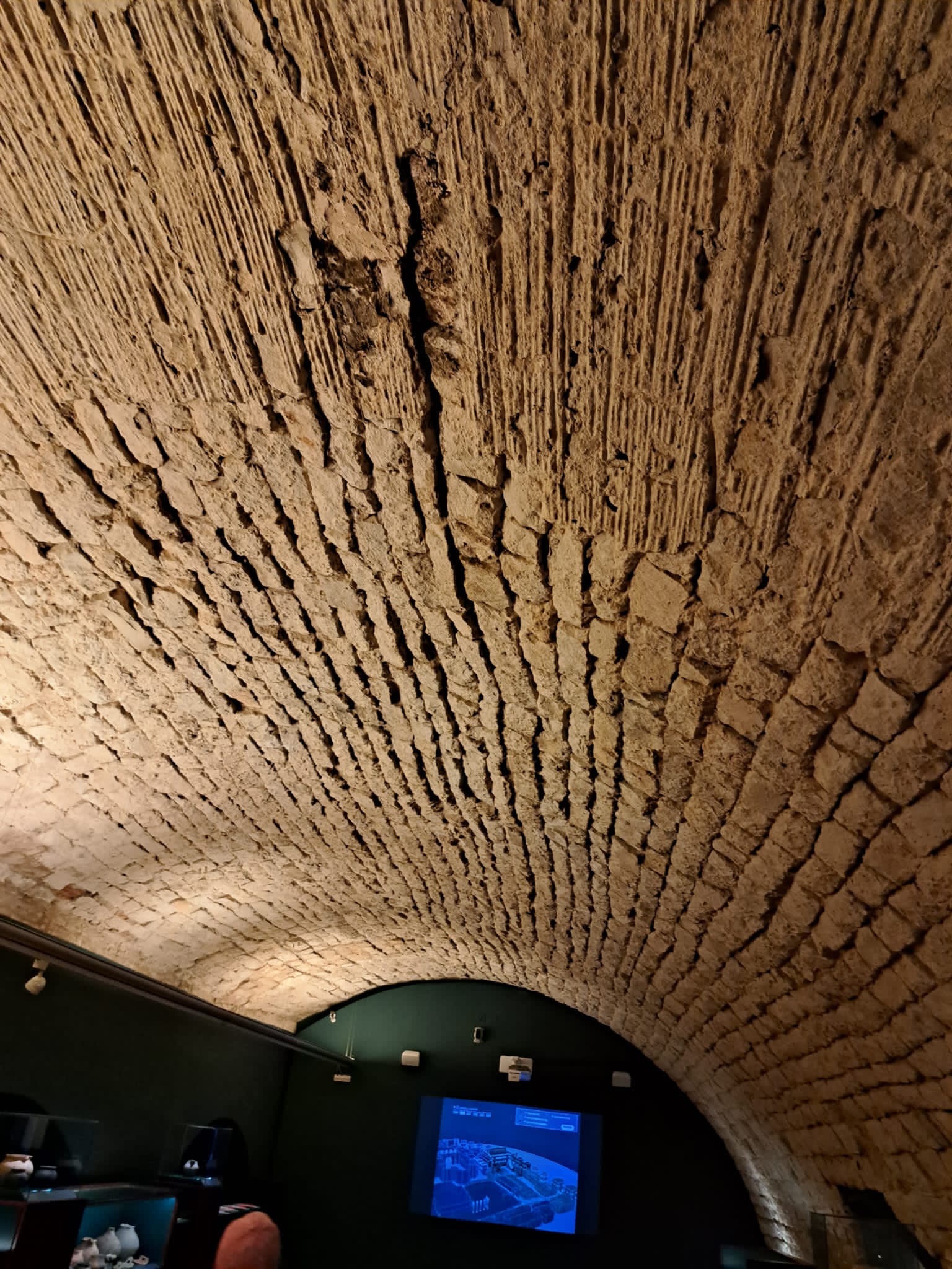 00000391-PHOTO-2023-08-18-04-02-41