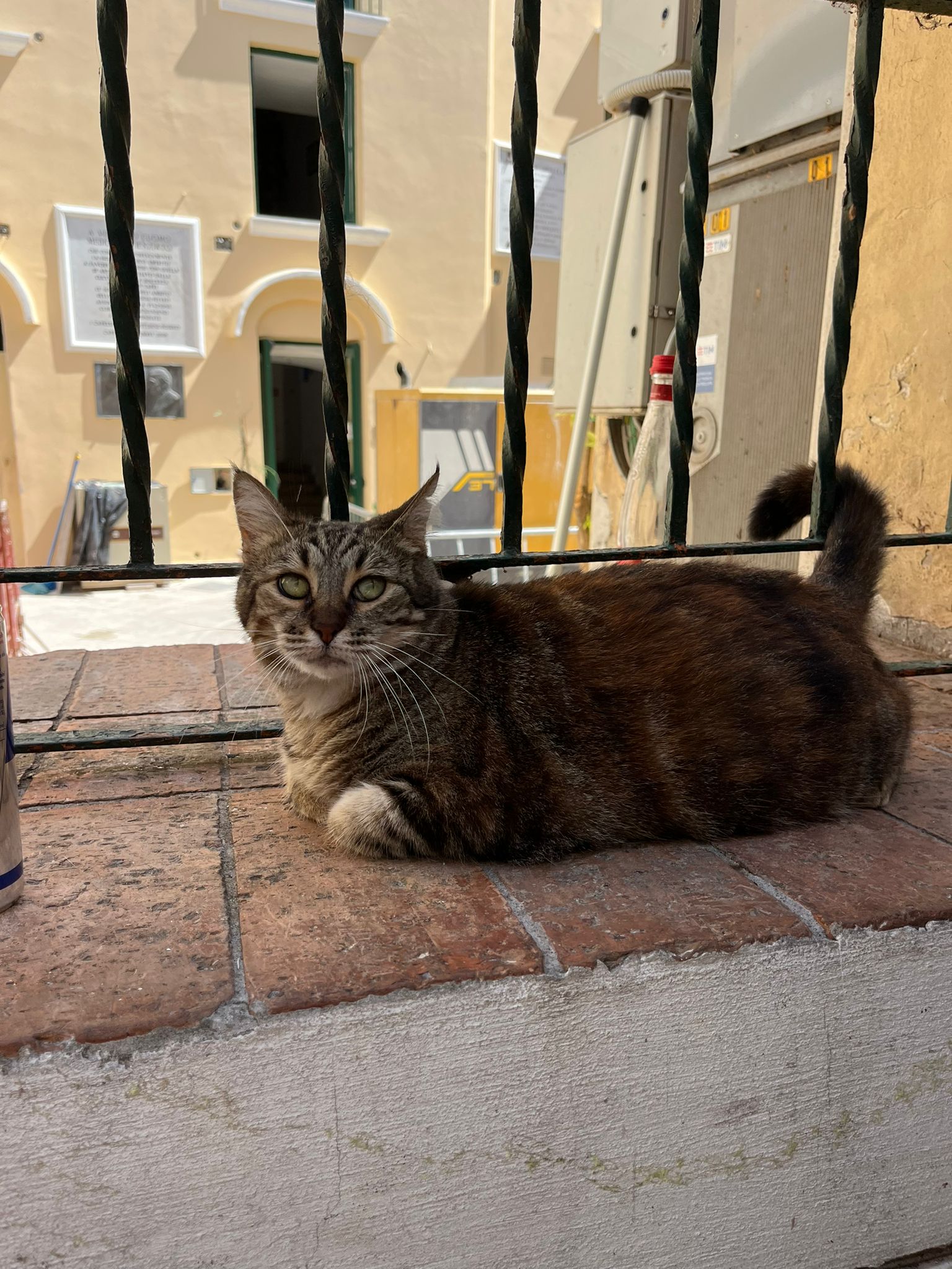 00000514-PHOTO-2023-08-19-15-26-04