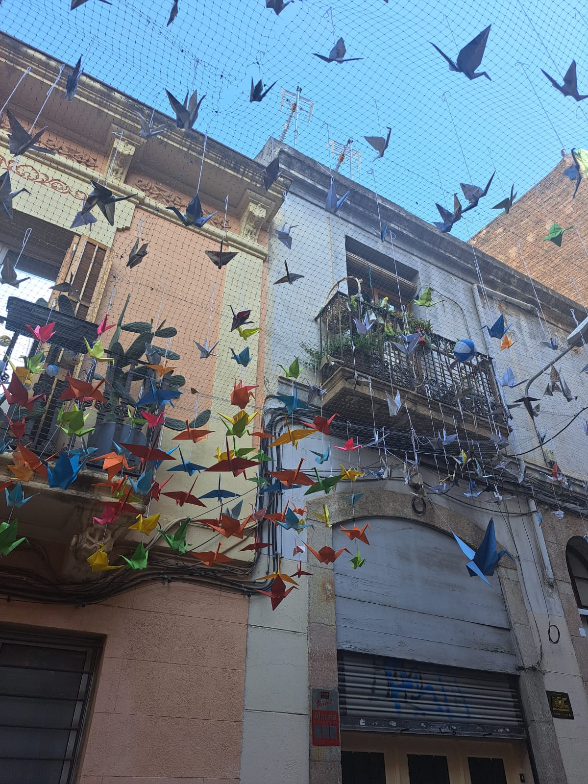 00000530-PHOTO-2023-08-20-04-29-29