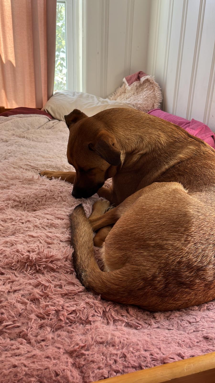 00000826-PHOTO-2023-08-24-11-19-21