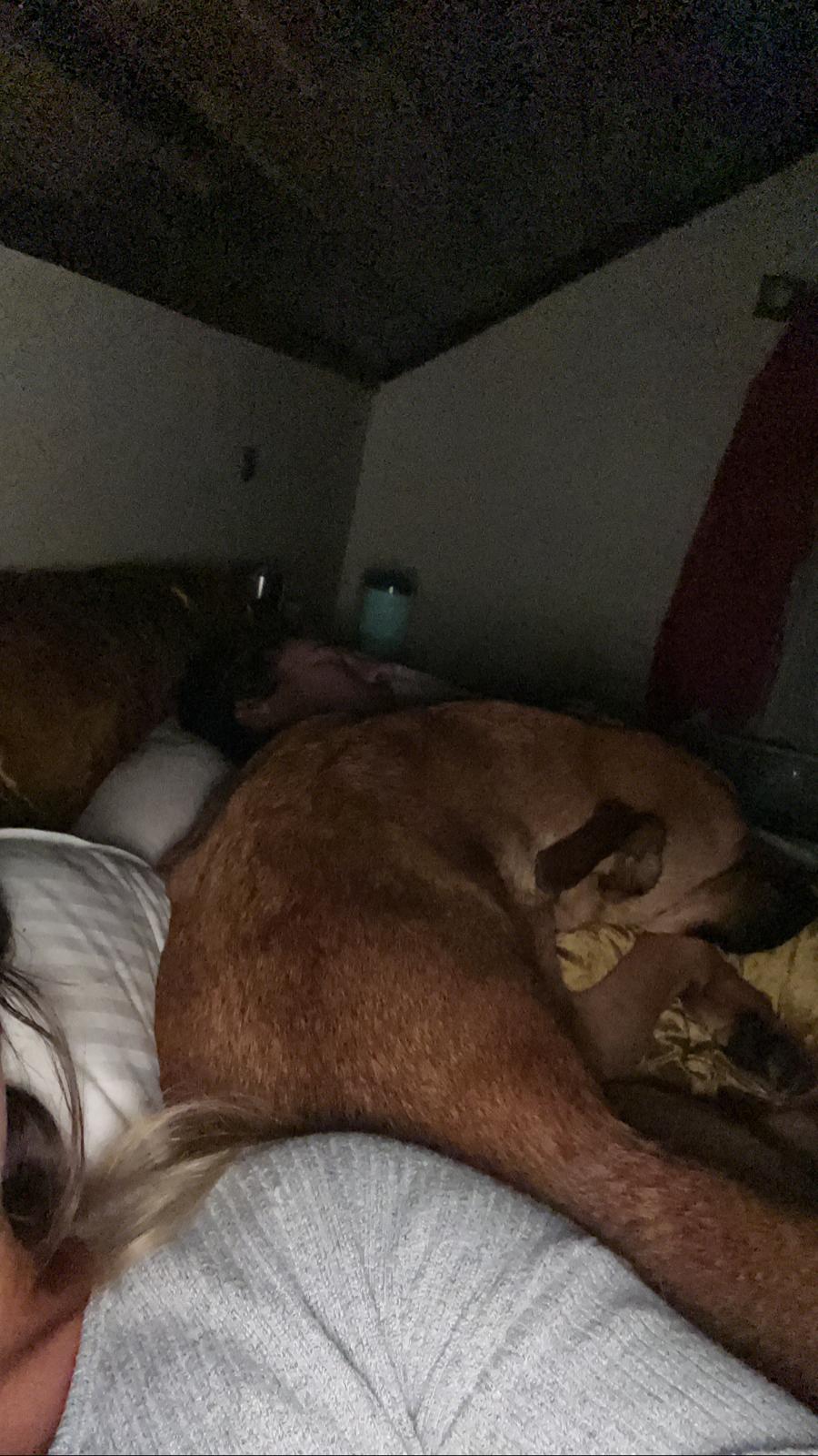 00000862-PHOTO-2023-08-25-10-59-58