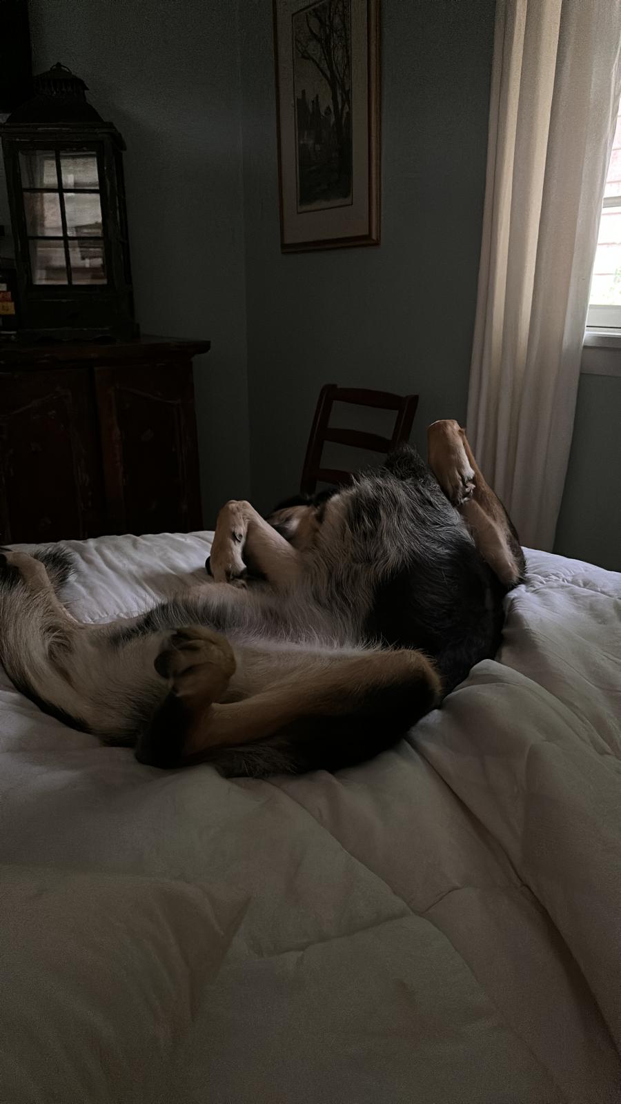 00000939-PHOTO-2023-08-25-11-09-49