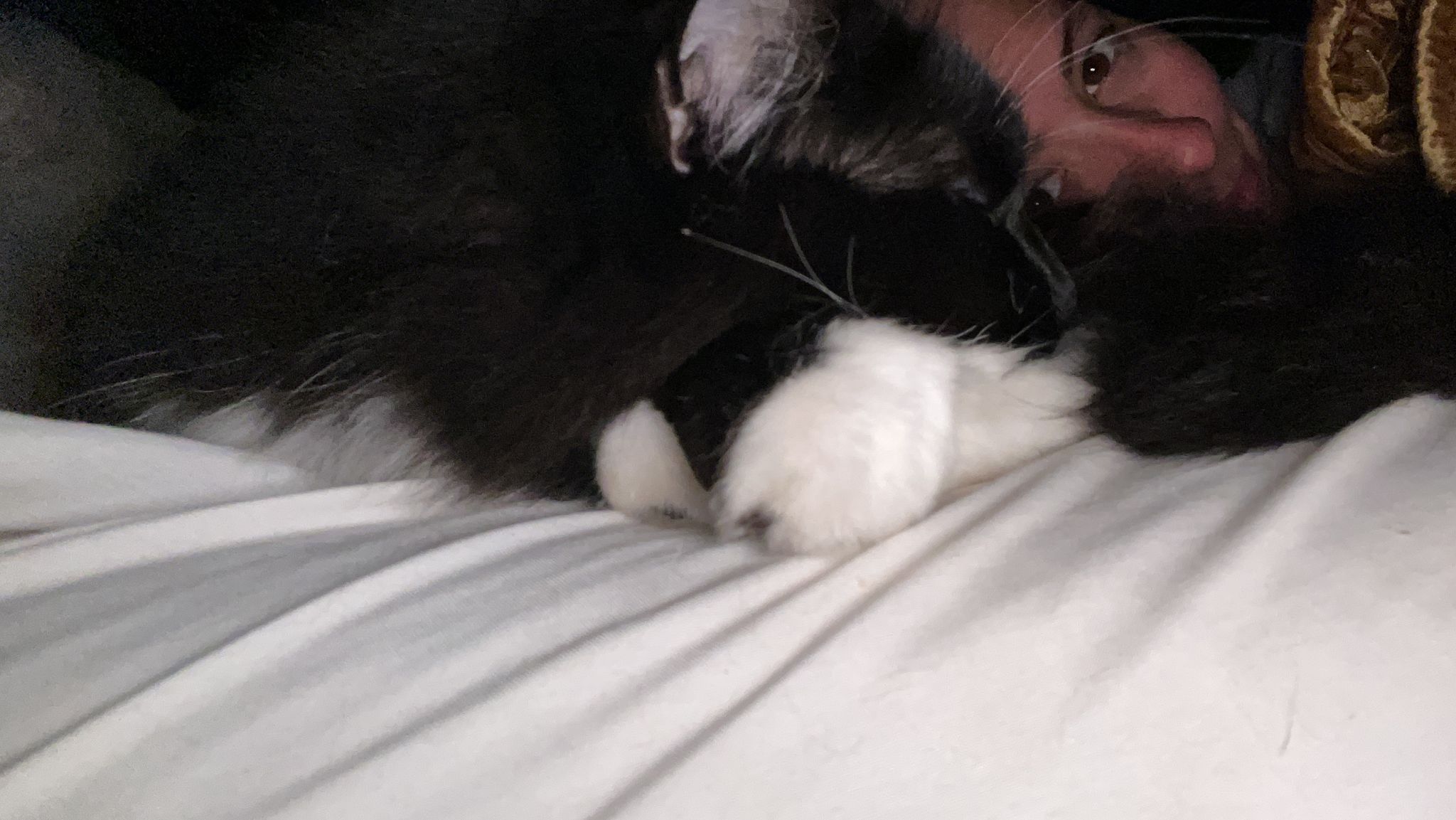 00001015-PHOTO-2023-08-25-11-28-28