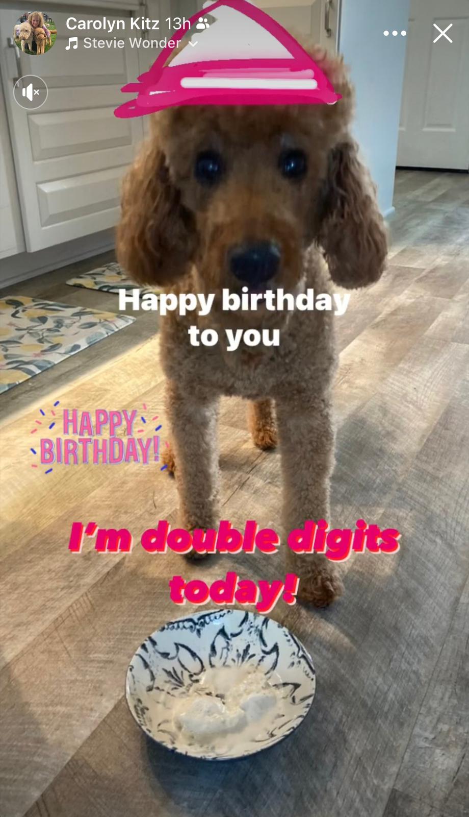 Group 12/17  |  64 messages