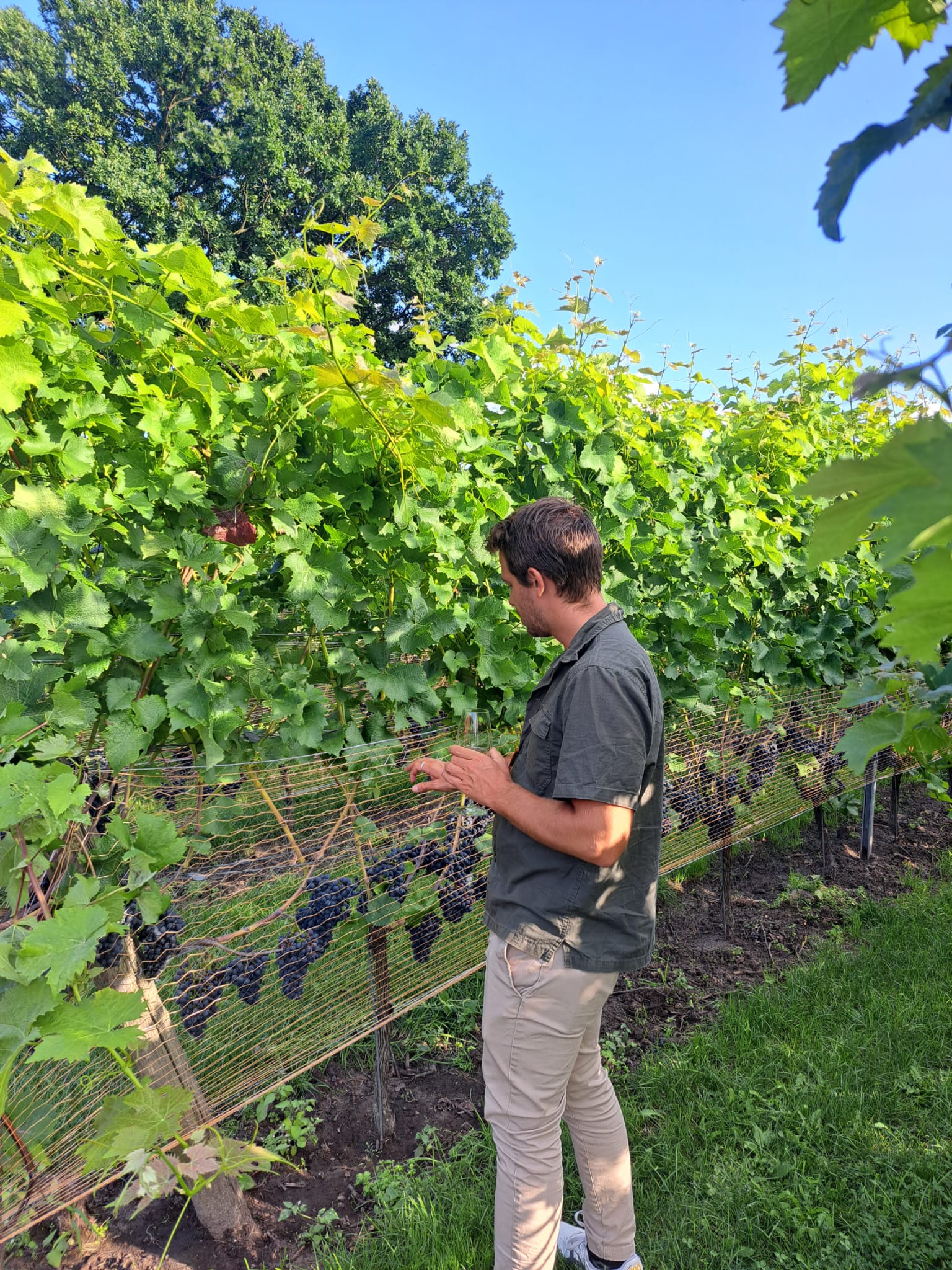 00001125-PHOTO-2023-08-26-12-54-15