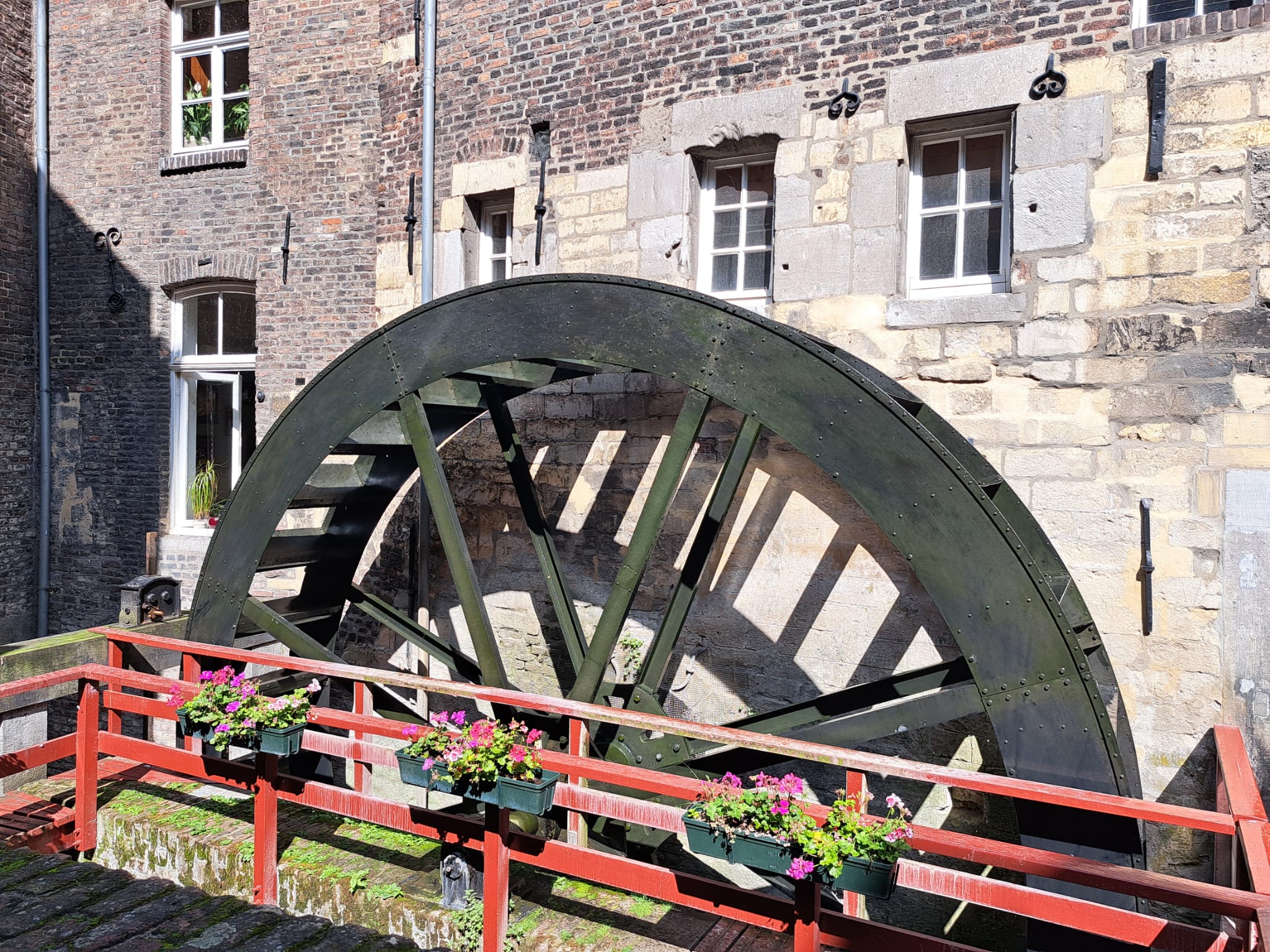 00001155-PHOTO-2023-08-27-07-29-00