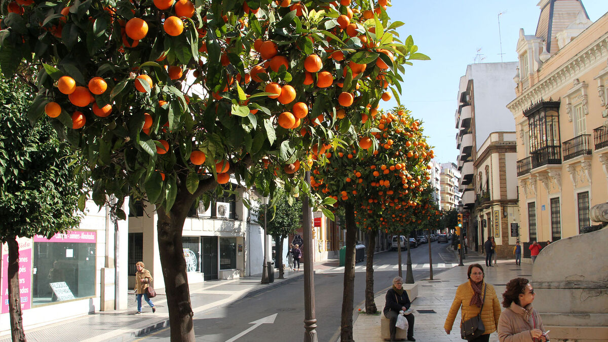 00001234-PHOTO-2023-08-29-10-34-11