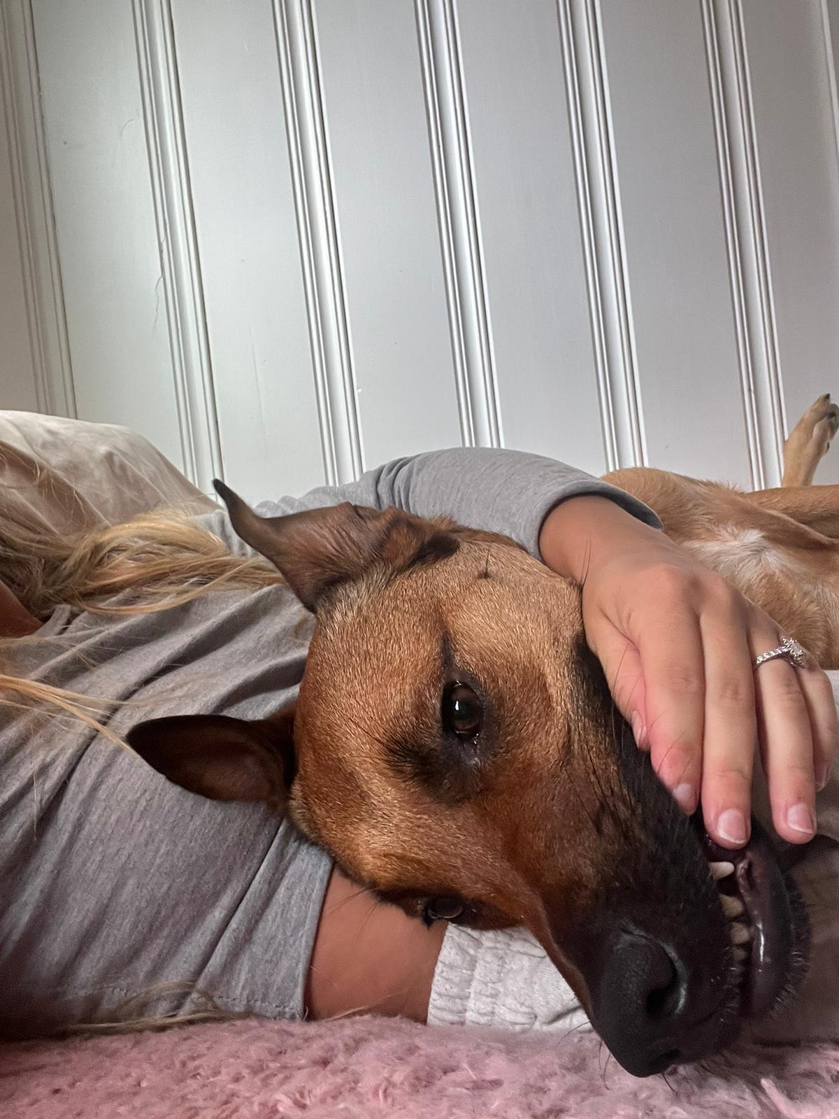 00001265-PHOTO-2023-08-29-14-13-27