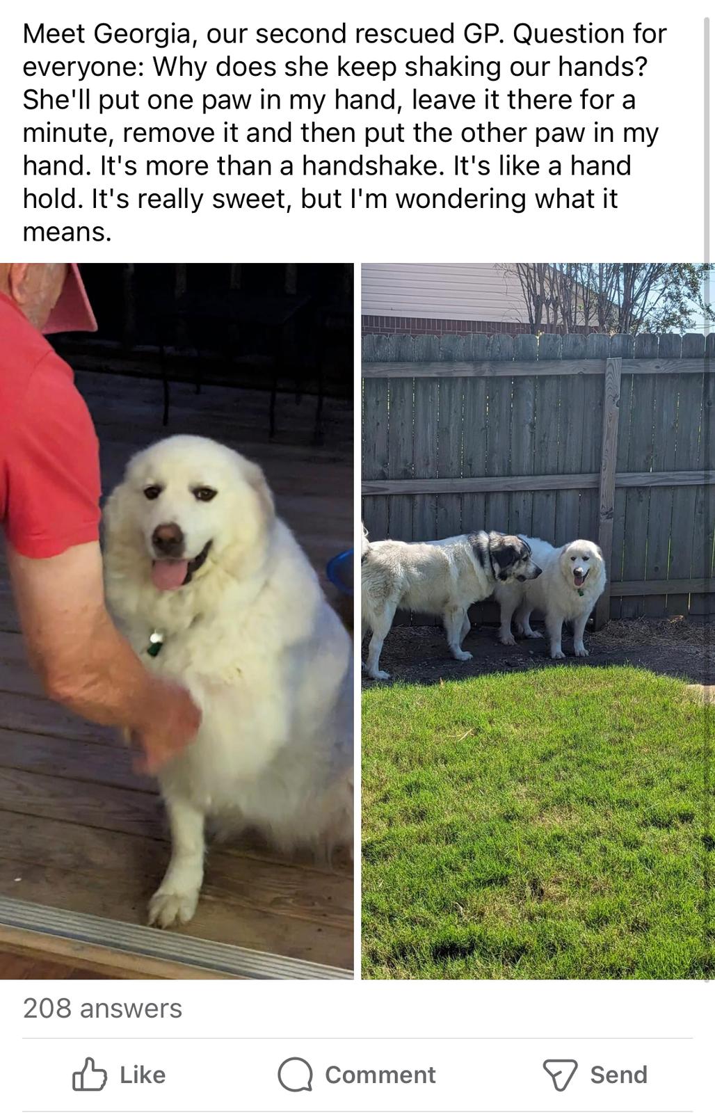 00001326-PHOTO-2023-08-30-16-36-55