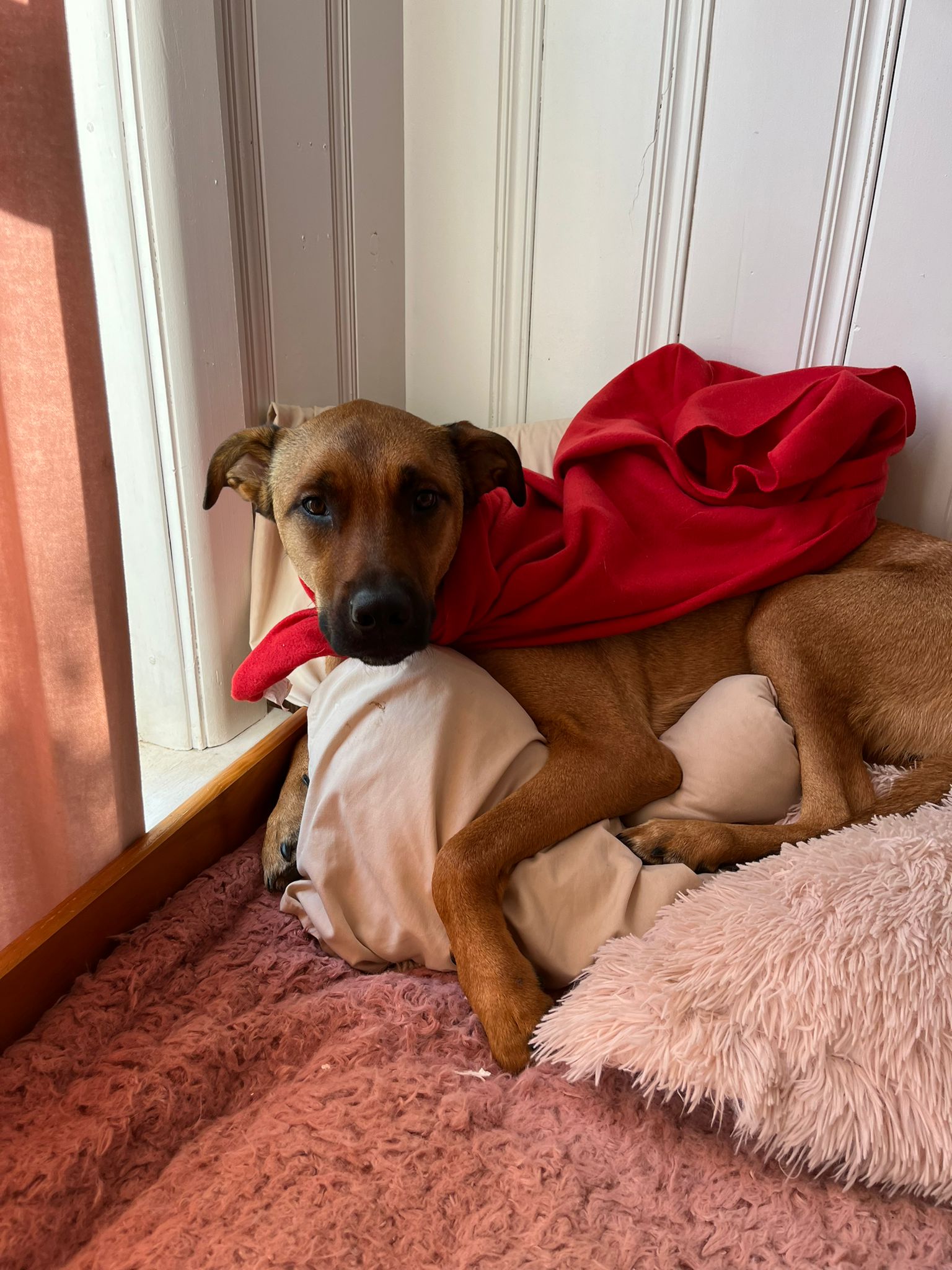 00001467-PHOTO-2023-09-01-09-27-03