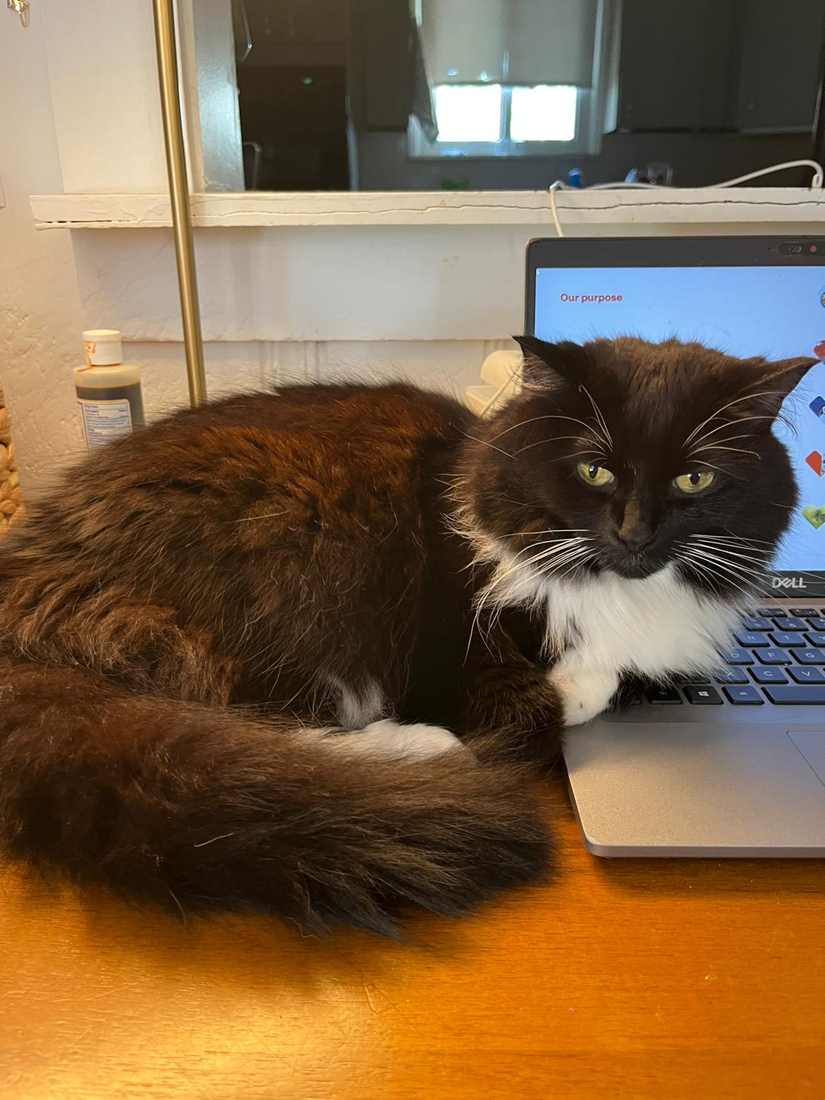 00001499-PHOTO-2023-09-01-13-38-30