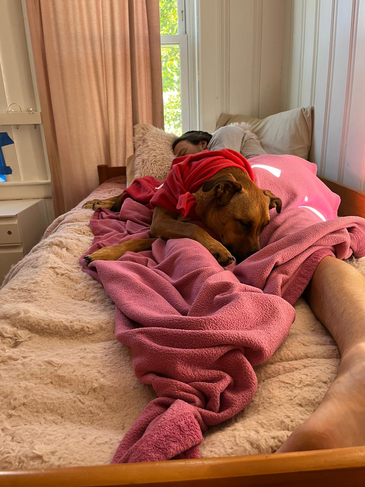 00001500-PHOTO-2023-09-01-13-38-40