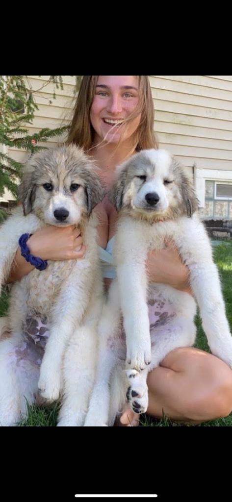 Happy Birthday Chloe and Good News About Grandpa Robert